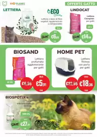Volantino ZooPlanet Pagina 11: BIOSAND Lettiera profumata agglomerante per gatti €5,91