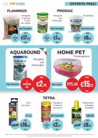 Volantino ZooPlanet Pagina 13: Pondsticks €6,21, TARTAFOOD BIG €1,66