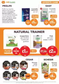Volantino ZooPlanet Pagina 3: CESAR Alimento umido per cani €0,79, Stuzzy Bocconcini €0,55