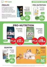 Volantino ZooPlanet Pagina 8: PRO-NUTRITION Crocchette per gatti URINARY €25,56, Croccette per gatti KITTEN €17,21