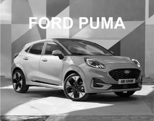 Ford (gælder indtil 17-08)