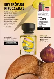 Oriflame katalógus Oldal 55