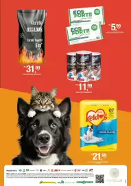 Catálogo DB Supermercados Página 7