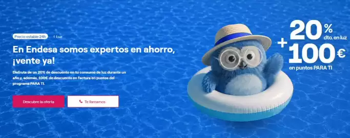 Folleto ENDESA Página 2