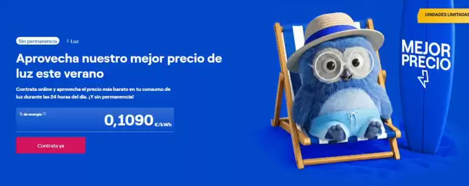 Folleto ENDESA Página 3
