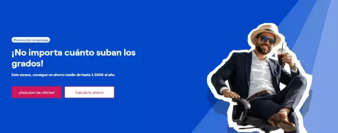 Folleto ENDESA Página 4