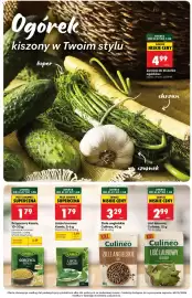 Biedronka gazetka Strona 2