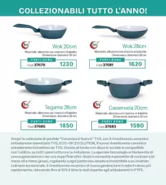 Catalogo Stanhome Pagina 33: Wok 20cm tvs €1.230,00, Wok 28cm tvs €1.620,00