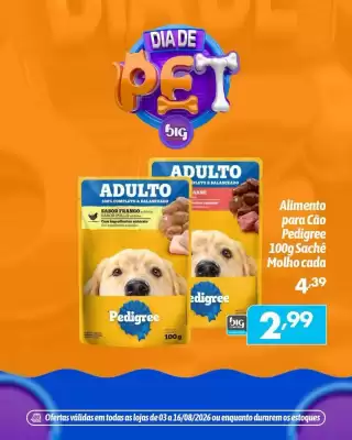 Catálogo Supermercados Big Compra (válido até 16-08)