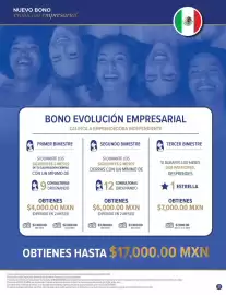 Catálogo Terramar Brands Página 31
