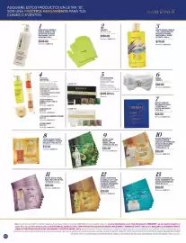 Catálogo Terramar Brands Página 42
