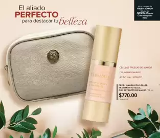 Catálogo Terramar Brands Página 21