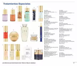 Catálogo Terramar Brands Página 37