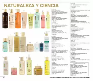 Catálogo Terramar Brands Página 42