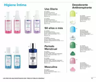 Catálogo Terramar Brands Página 43