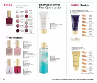 Catálogo Terramar Brands Página 46