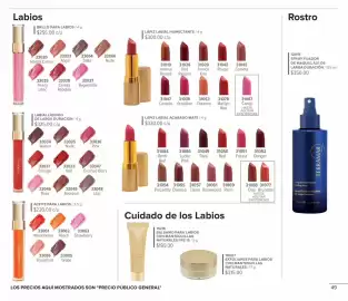 Catálogo Terramar Brands Página 49