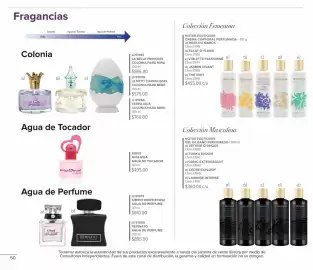 Catálogo Terramar Brands Página 50