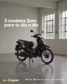 Catálogo Coppel Página 1