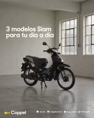Coppel (válido hasta 1-09)