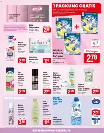 Famila Nord Ost Prospekt woche 33 Seite 17