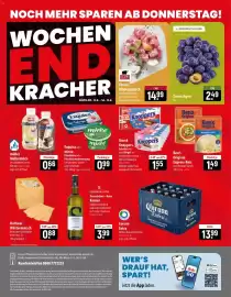 Famila Nord Ost Prospekt woche 33 Seite 24
