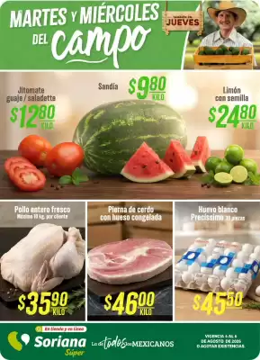 Catálogo Soriana Súper