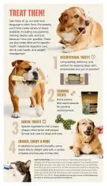 Petvalu flyer Page 14