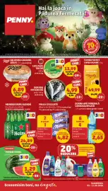 Catalog Penny săptămâna 32 Pagină 1