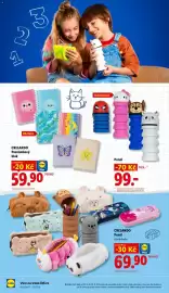 Lidl leták Strana 24