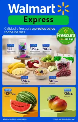 Catálogo Walmart Express
