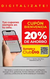 Folleto Supermercados DIA semana 32 Página 11