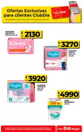 Folleto Supermercados DIA semana 32 Página 12