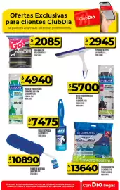 Folleto Supermercados DIA semana 32 Página 13