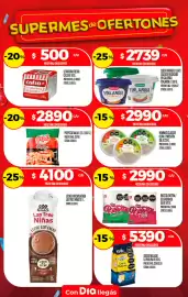 Folleto Supermercados DIA semana 32 Página 19