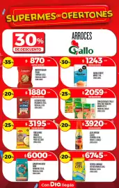 Folleto Supermercados DIA semana 32 Página 22