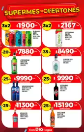 Folleto Supermercados DIA semana 32 Página 25