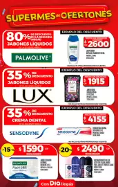 Folleto Supermercados DIA semana 32 Página 26