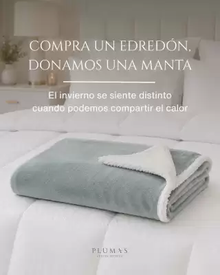 Plumas (válido hasta 5-08)