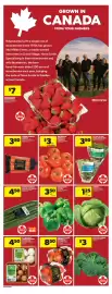 Dominion flyer week 32 Page 10