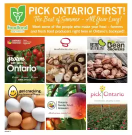 Fortinos flyer week 32 Page 11