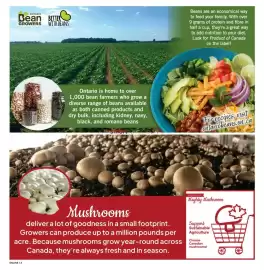 Fortinos flyer week 32 Page 13