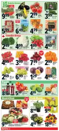 Metro flyer week 32 Page 4