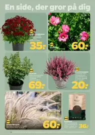 Netto tilbudsavis uge 32 Side 26