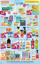Catalogue Norma semaine 33 page 6