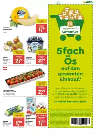 ADEG Flugblatt woche 33 Seite 3