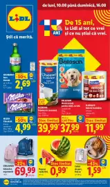 Catalog Lidl săptămâna 33 Pagină 1