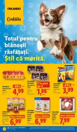 Catalog Lidl săptămâna 33 Pagină 20