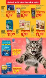 Catalog Lidl săptămâna 33 Pagină 21