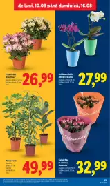 Catalog Lidl săptămâna 33 Pagină 61